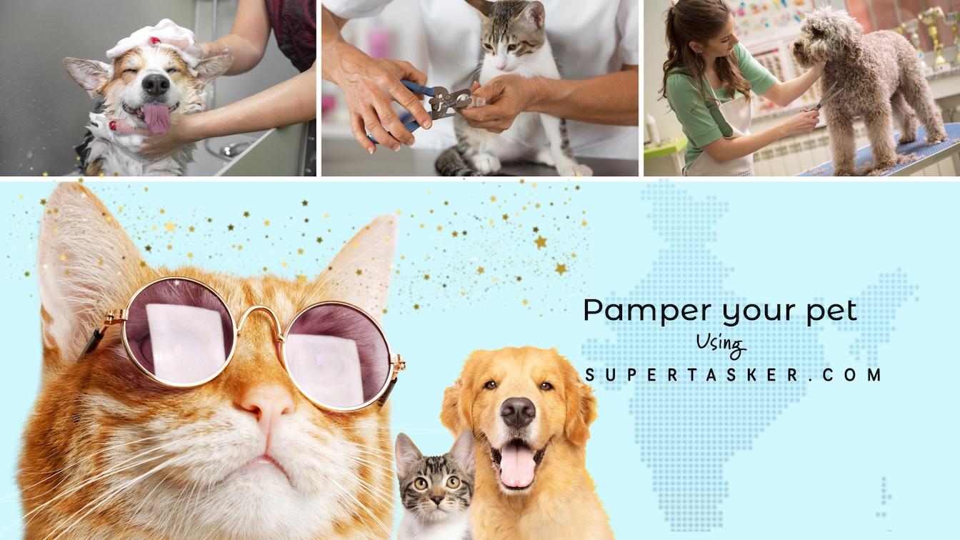 Pamper Your Pet with Supertasker.com: Join as a Tasker in Our Growing Pet Services Category